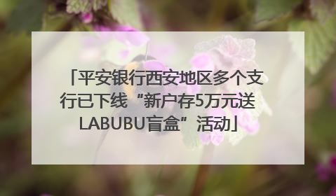 平安银行西安地区多个支行已下线“新户存5万元送LABUBU盲盒”活动