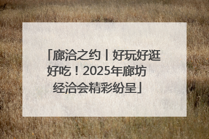 廊洽之约丨好玩好逛好吃！2025年廊坊经洽会精彩纷呈