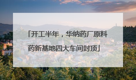 开工半年，华纳药厂原料药新基地四大车间封顶