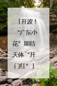 开波！“广东小花”期待天体“开门红”