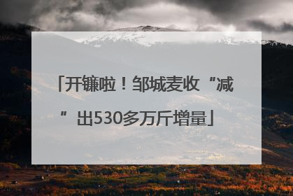 开镰啦！邹城麦收“减”出530多万斤增量
