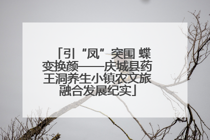 引“凤”突围 蝶变换颜——庆城县药王洞养生小镇农文旅融合发展纪实