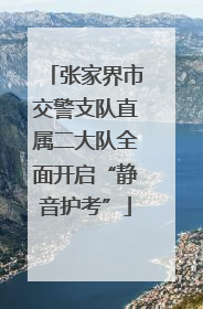 张家界市交警支队直属二大队全面开启“静音护考”