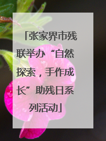 张家界市残联举办“自然探索，手作成长”助残日系列活动
