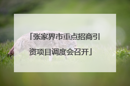 张家界市重点招商引资项目调度会召开
