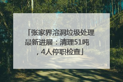 张家界溶洞垃圾处理最新进展：清理51吨，4人停职检查