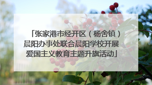张家港市经开区（杨舍镇）晨阳办事处联合晨阳学校开展爱国主义教育主题升旗活动