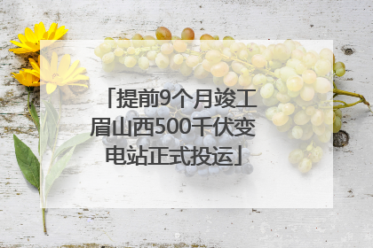 提前9个月竣工 眉山西500千伏变电站正式投运