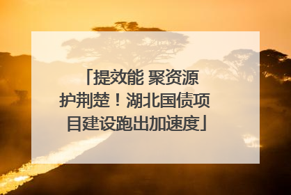 提效能 聚资源 护荆楚！湖北国债项目建设跑出加速度