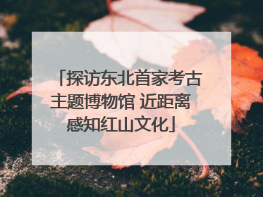 探访东北首家考古主题博物馆 近距离感知红山文化