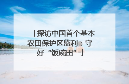 探访中国首个基本农田保护区监利：守好“饭碗田”
