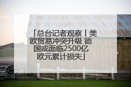 总台记者观察丨美欧贸易冲突升级 德国或面临2500亿欧元累计损失