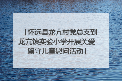 怀远县龙亢村党总支到龙亢镇实验小学开展关爱留守儿童慰问活动