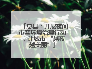 息县：开展夜间市容环境治理行动，让城市 “越夜越美丽”