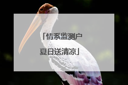 情系监测户 夏日送清凉