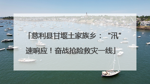 慈利县甘堰土家族乡：“汛”速响应！奋战抢险救灾一线