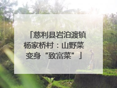慈利县岩泊渡镇杨家桥村：山野菜变身“致富菜”