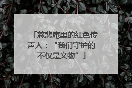 慈悲庵里的红色传声人：“我们守护的不仅是文物”