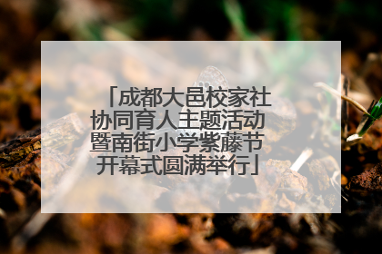 成都大邑校家社协同育人主题活动暨南街小学紫藤节开幕式圆满举行