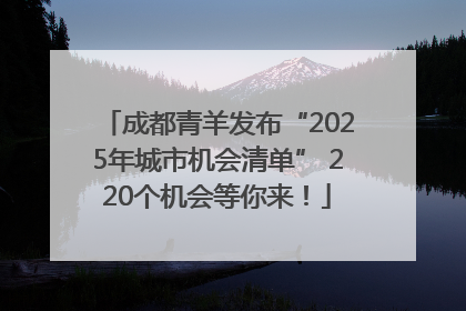 成都青羊发布“2025年城市机会清单” 220个机会等你来！