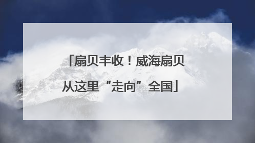 扇贝丰收！威海扇贝从这里“走向”全国