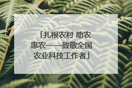 扎根农村 助农惠农——致敬全国农业科技工作者