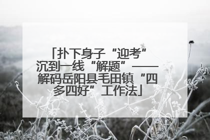 扑下身子“迎考” 沉到一线“解题”——解码岳阳县毛田镇“四多四好”工作法
