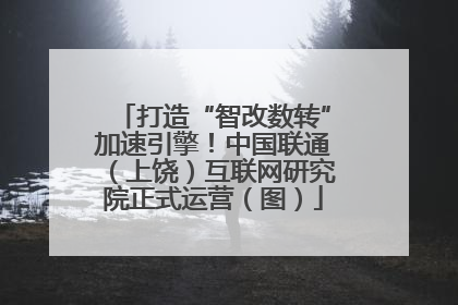 打造“智改数转”加速引擎！中国联通（上饶）互联网研究院正式运营（图）