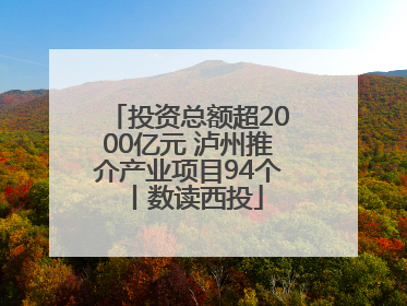 投资总额超2000亿元 泸州推介产业项目94个丨数读西投