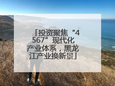 投资聚焦“4567”现代化产业体系，黑龙江产业换新景