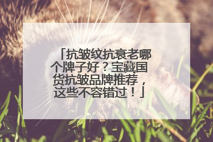 抗皱纹抗衰老哪个牌子好？宝藏国货抗皱品牌推荐，这些不容错过！