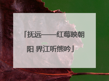 抚远——红莓映朝阳 界江听熊吟
