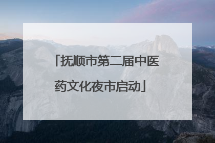 抚顺市第二届中医药文化夜市启动