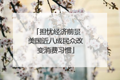 担忧经济前景 美国近八成民众改变消费习惯