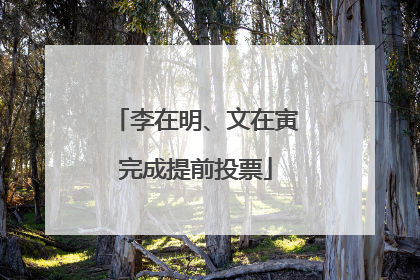 李在明、文在寅完成提前投票