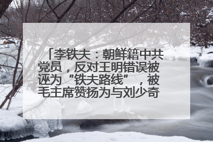 李铁夫：朝鲜籍中共党员，反对王明错误被诬为“铁夫路线”，被毛主席赞扬为与刘少奇并列的正确路线代表
