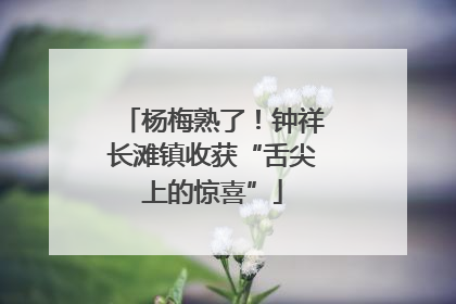 杨梅熟了！钟祥长滩镇收获“舌尖上的惊喜”