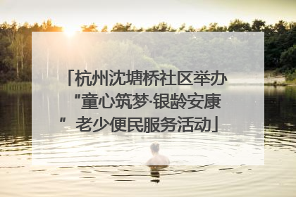 杭州沈塘桥社区举办“童心筑梦·银龄安康”老少便民服务活动