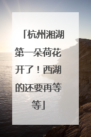杭州湘湖第一朵荷花开了！西湖的还要再等等
