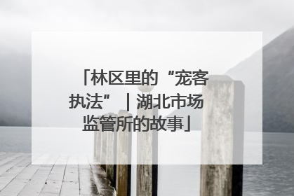 林区里的“宠客执法”｜湖北市场监管所的故事