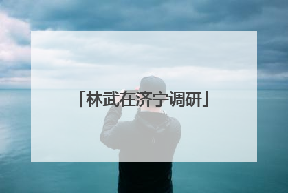 林武在济宁调研