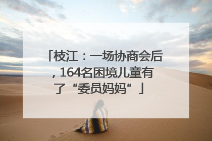 枝江：一场协商会后，164名困境儿童有了“委员妈妈”
