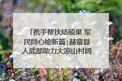 携手帮扶结硕果 军民同心绘新篇∣赫章县人武部助力大凉山村阔步乡村振兴路