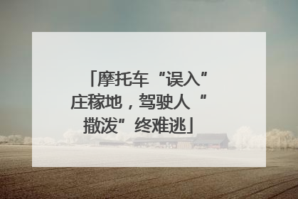 摩托车“误入”庄稼地，驾驶人“撒泼”终难逃