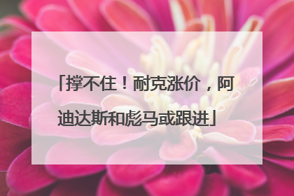 撑不住！耐克涨价，阿迪达斯和彪马或跟进