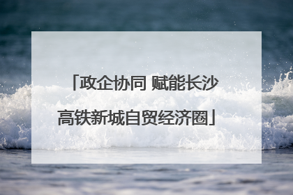 政企协同 赋能长沙高铁新城自贸经济圈