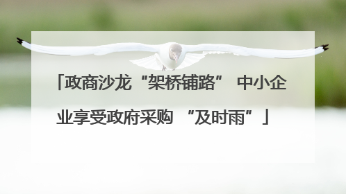 政商沙龙“架桥铺路” 中小企业享受政府采购 “及时雨”