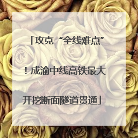 攻克“全线难点”！成渝中线高铁最大开挖断面隧道贯通