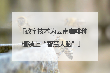 数字技术为云南咖啡种植装上“智慧大脑”