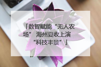 数智赋能“无人农场” 海州夏收上演“科技丰景”